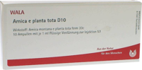 ARNICA E Planta tota D 10 Ampullen